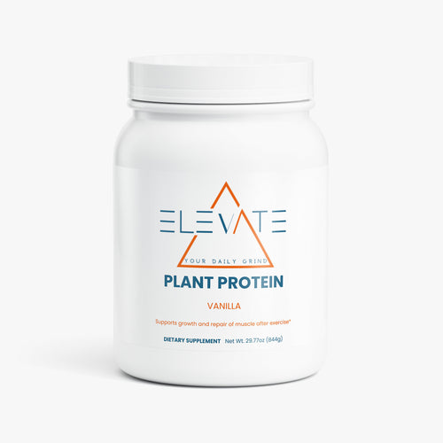 Plant Protein (Vanilla)