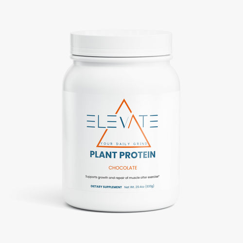 Plant Protein (Chocolate)