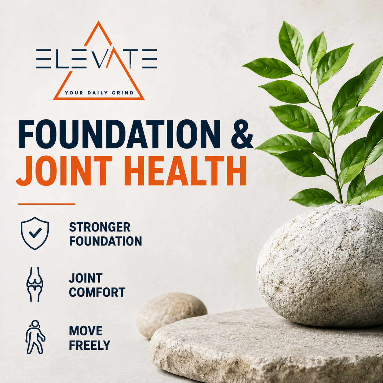Foundation and Joint Health